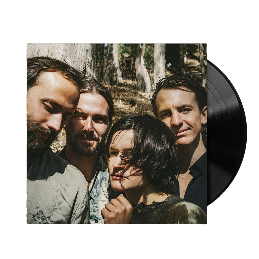 Big Thief / Two Hands Vinyl - Merch Jungle - Official Big Thief music and merch
