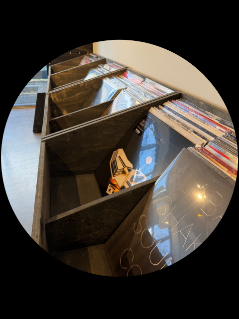 Vinyl records being arranged in Jungle HQ display bins