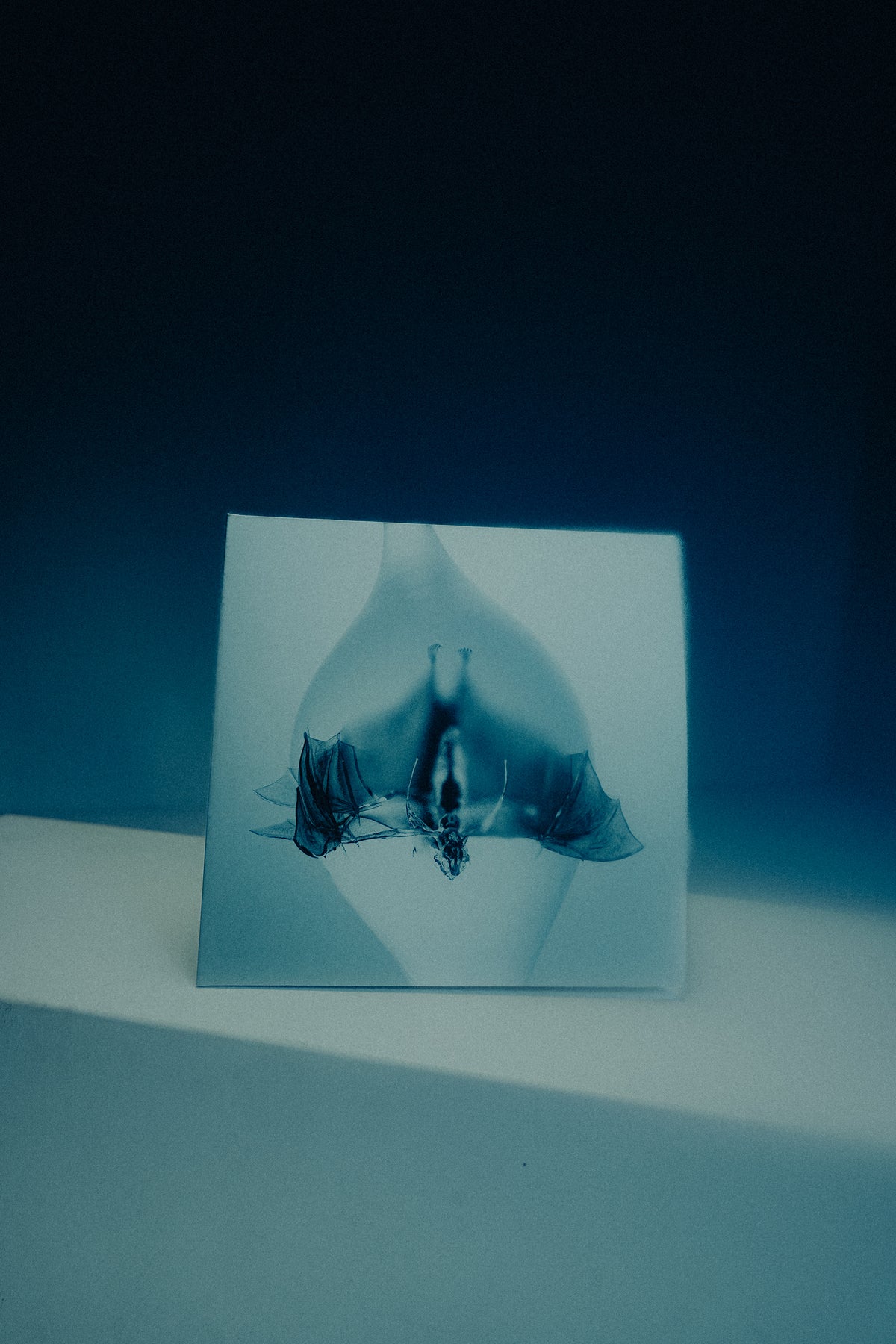 Unprocessed / Angel Digipak - Merch Jungle - Official Unprocessed music and merch