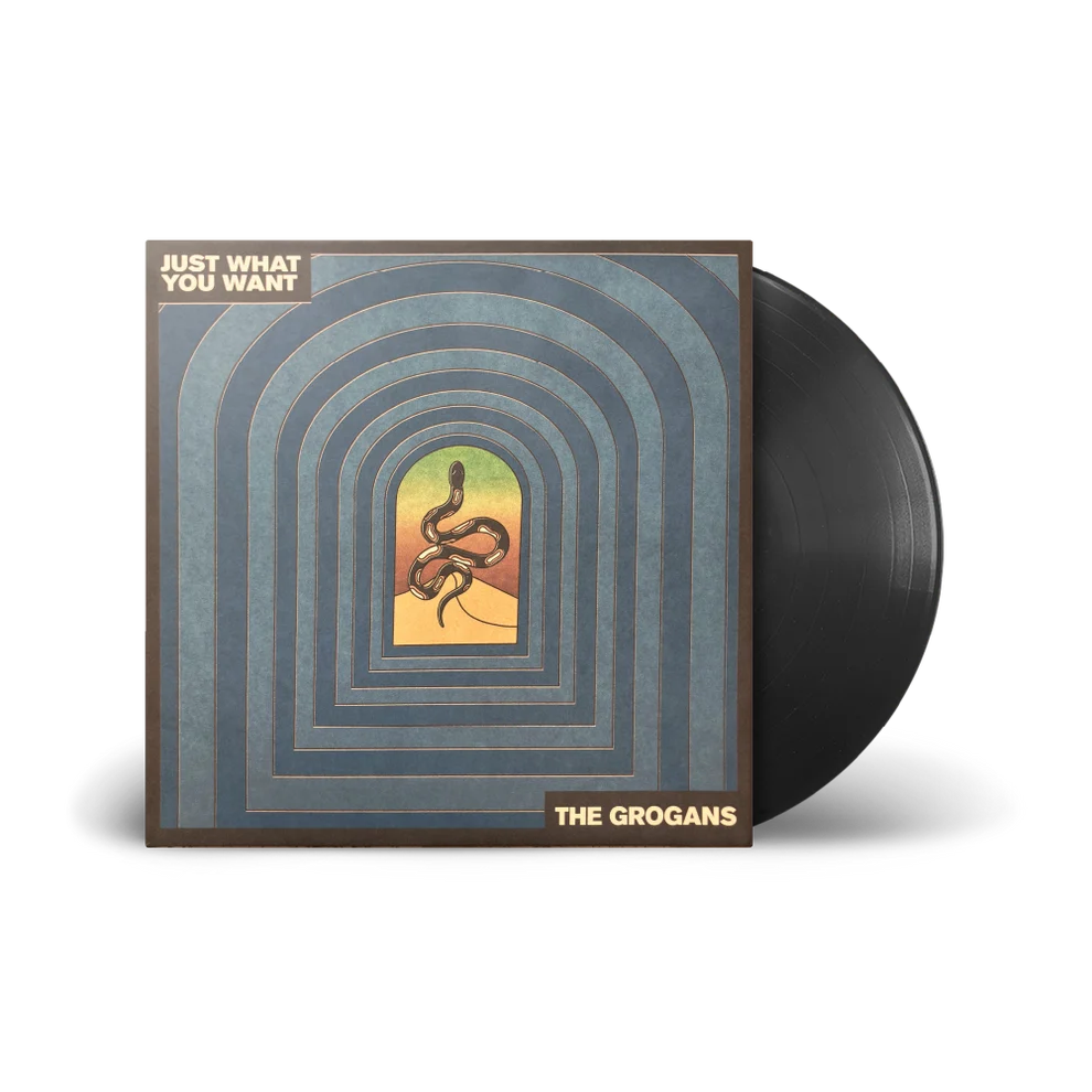 The Grogans / Just What You Want (Limited Alternate Blue Cover 12" Vinyl) - Merch Jungle - Official The Grogans music and merch