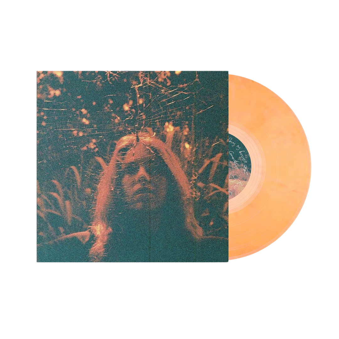Turnover / Peripheral Vision (Vinyl) - Merch Jungle - Official Turnover music and merch