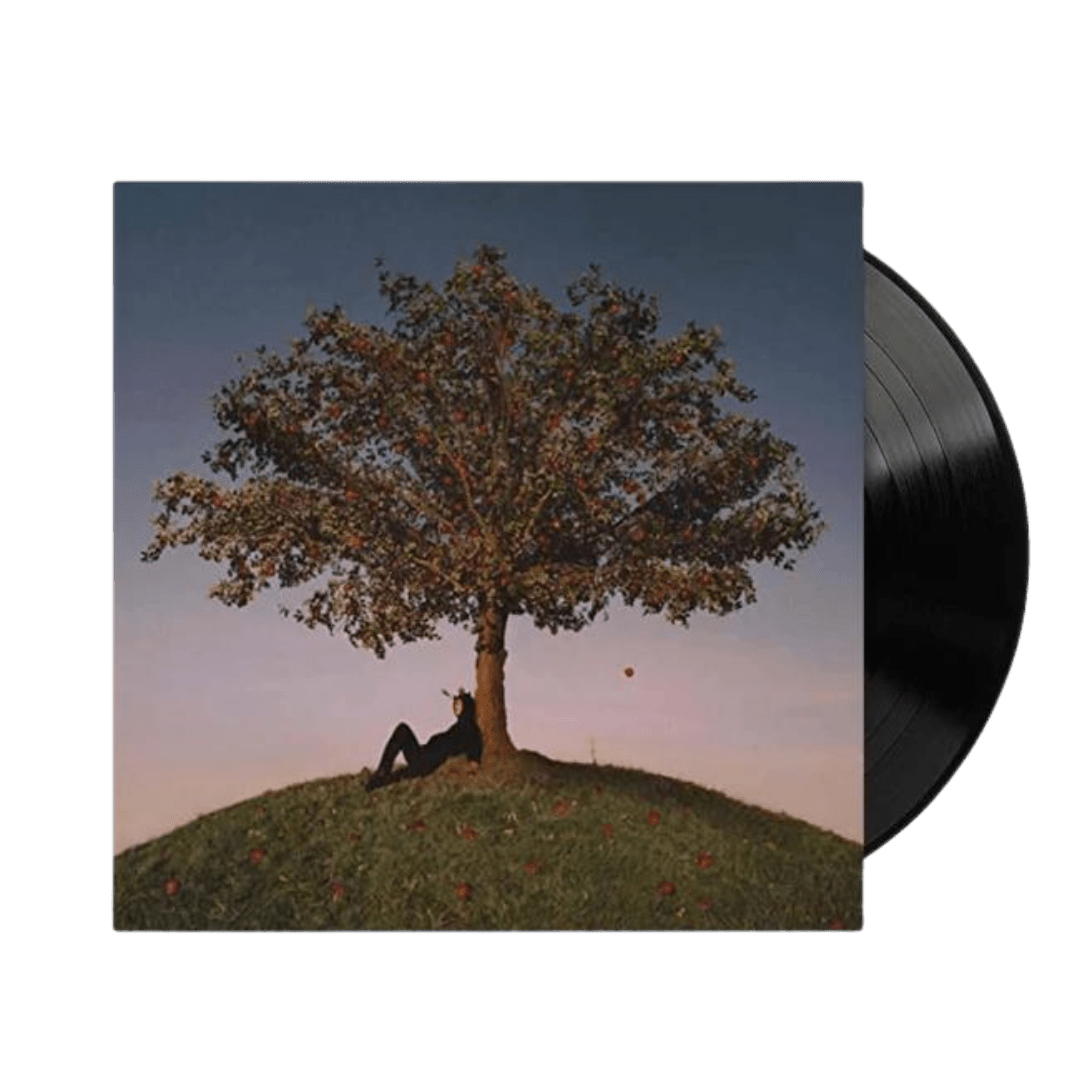 TYRON (Vinyl) - Merch Jungle - Official Slowthai band t-shirts and band merch.