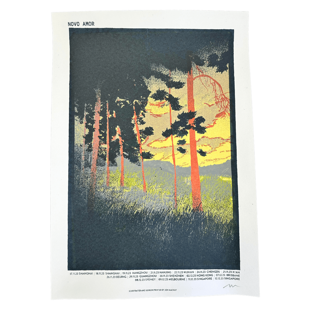 Novo Amor / Tour Poster | Merch Jungle