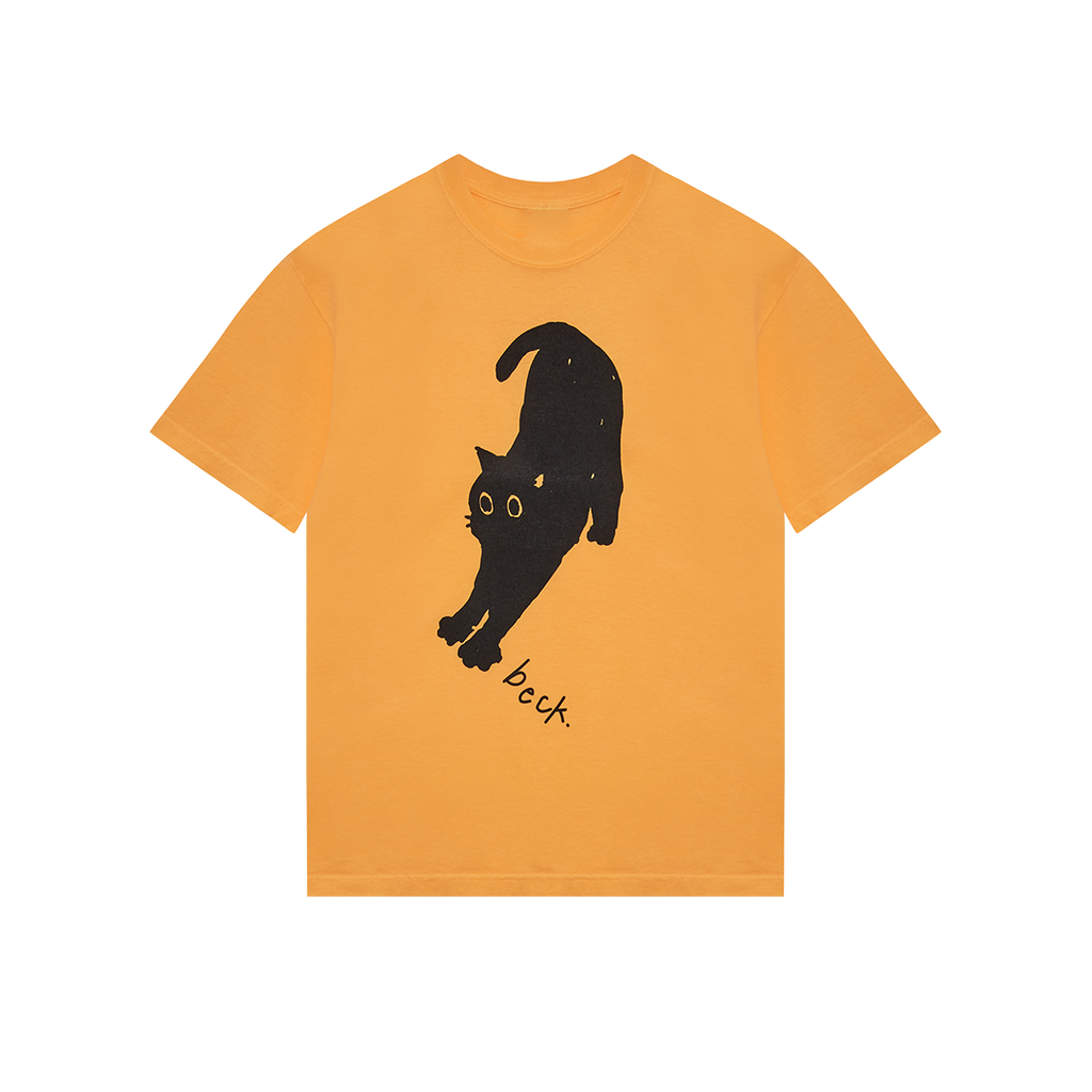 The Pixies - Death to the Pixies Tee