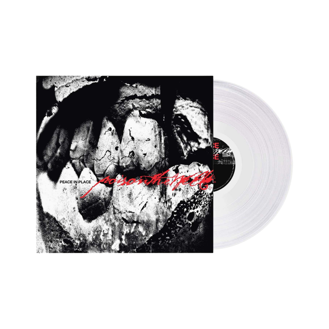 TX2 / End Of US LP (Black Ice Vinyl)