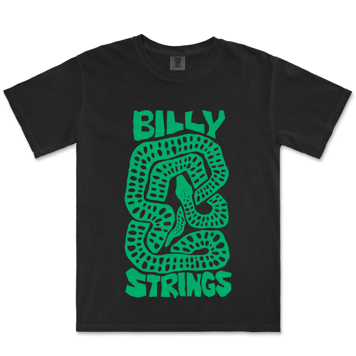 Billy Strings / Snake Tee (Black) - Merch Jungle - Official Billy Strings music and merch