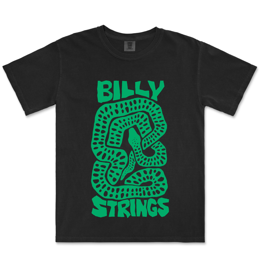 Billy Strings / Snake Tee (Black) - Merch Jungle - Official Billy Strings music and merch