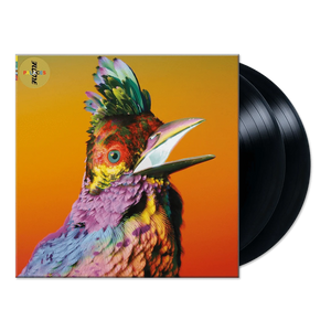 Palaces (Vinyl) - Merch Jungle - Official Flume band t-shirts and band merch.