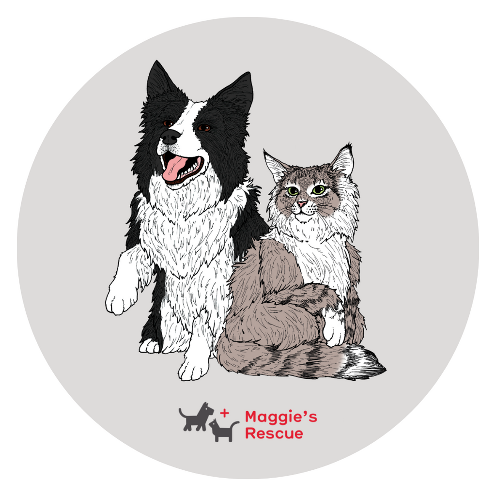 Sticker - Merch Jungle - Official Maggies Rescue band t-shirts and band merch.
