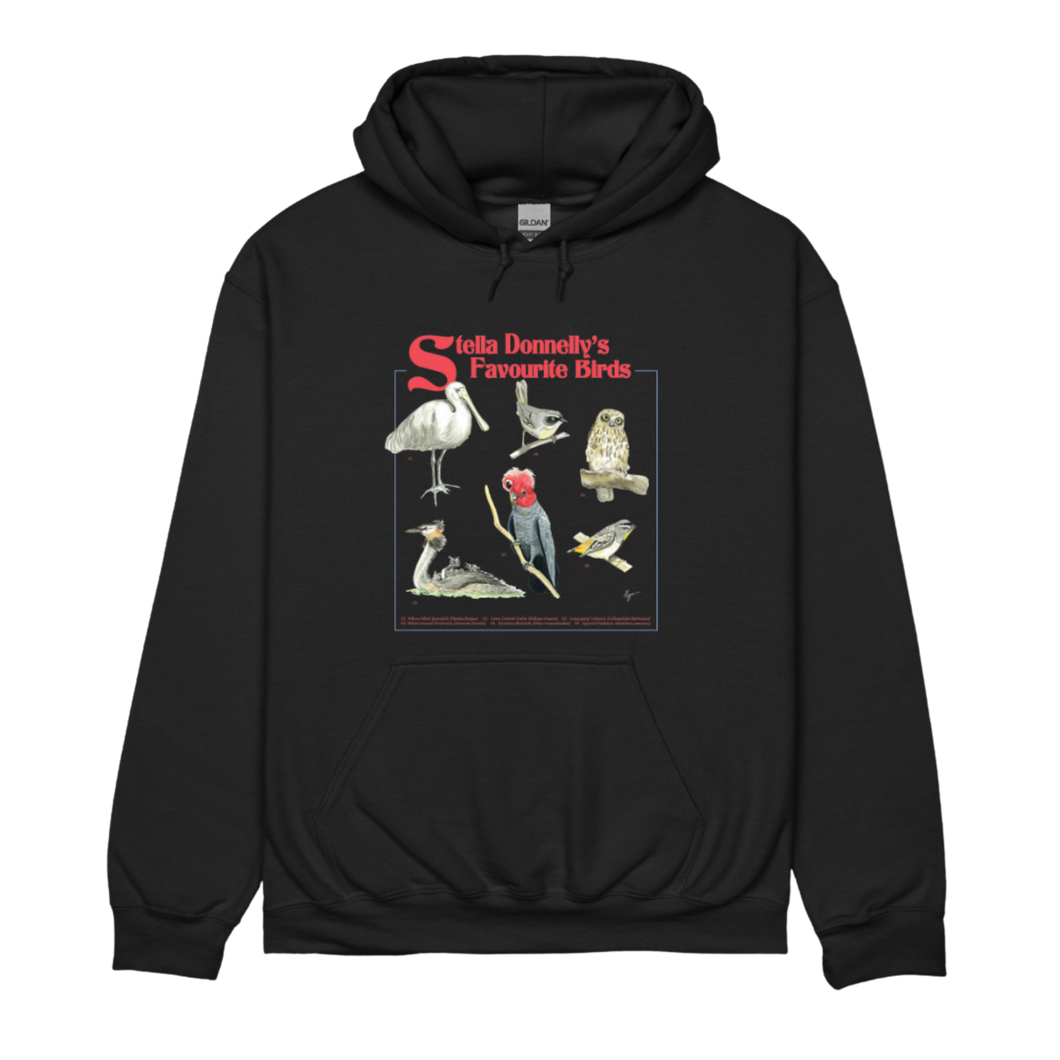 Birds Hoodie - Merch Jungle - Official Stella Donnelly band t-shirts and band merch.